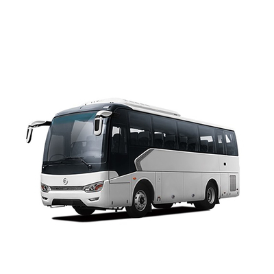 Dragon Diesel Luxury Coach Bus dorato 220 HP 8m 10 - 34 sedili Team Travel Bus